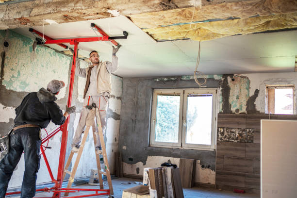 Best Residential Insulation in Pandora, OH